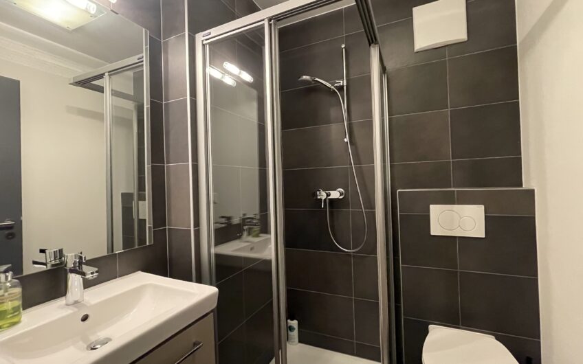 Residence in der sonnigen Wildi 5.5 Zimmerwohnung