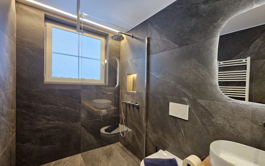 Silberdistel in der sonnigen Wildi Grossus Moos.