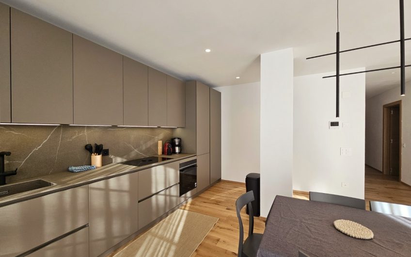 Silberdistel in der sonnigen Wildi Grossus Moos.