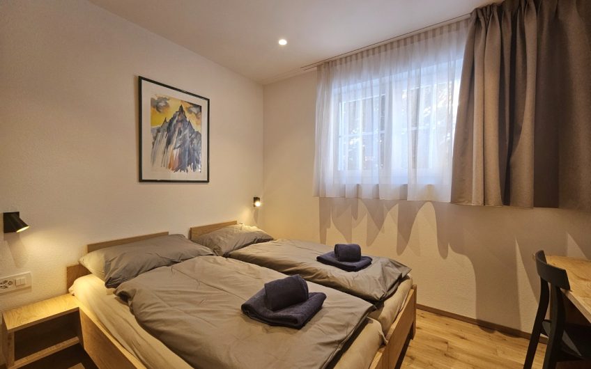 Silberdistel in der sonnigen Wildi Grossus Moos.