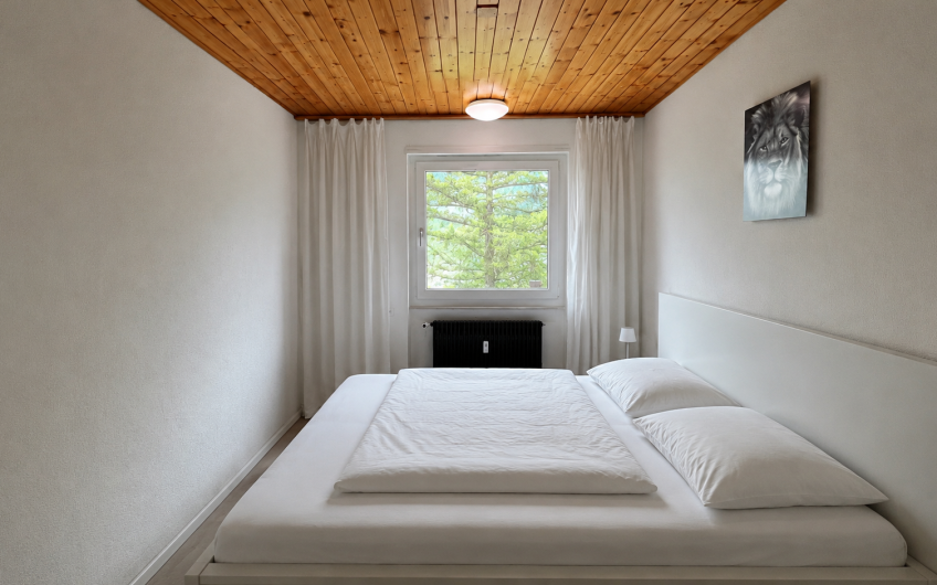 Geräumige 2.5 Zimmer  in der sonnigen Wildi.