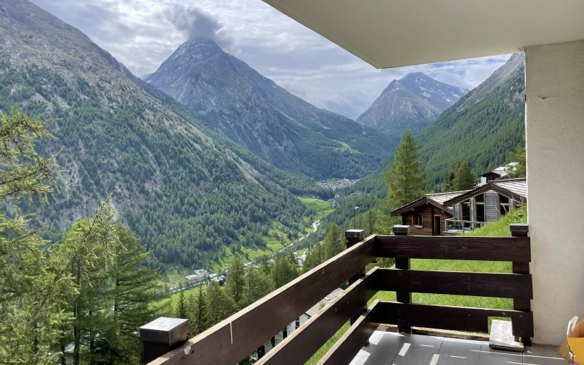 Geräumige 2.5 Zimmer  in der sonnigen Wildi.