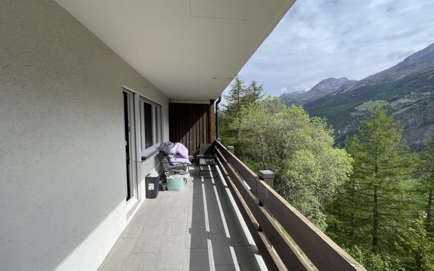 Geräumige 2.5 Zimmer  in der sonnigen Wildi.
