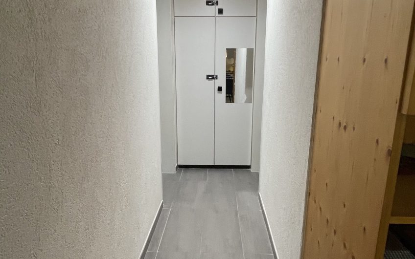 Geräumige 2.5 Zimmer  in der sonnigen Wildi.