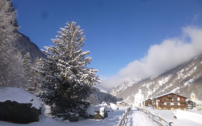 Paloma 4.5 Zimmergartenwohnung. Sehr ruhige Lage und freie Sicht. Parkplatz vorhanden. Reserviert.