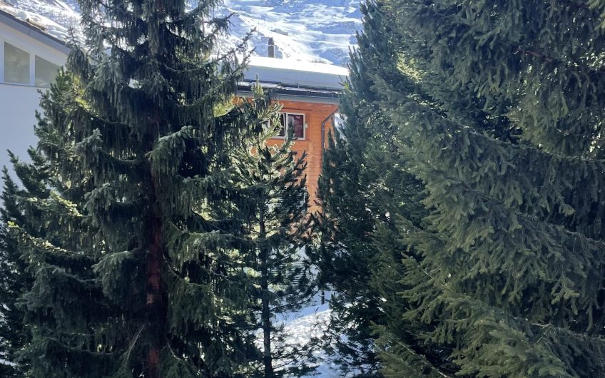 Amici 2.5 Zimmerwohnung im 3. Stock – Ski in. Verkauf an die höchstbietende Partei. Verkauft.