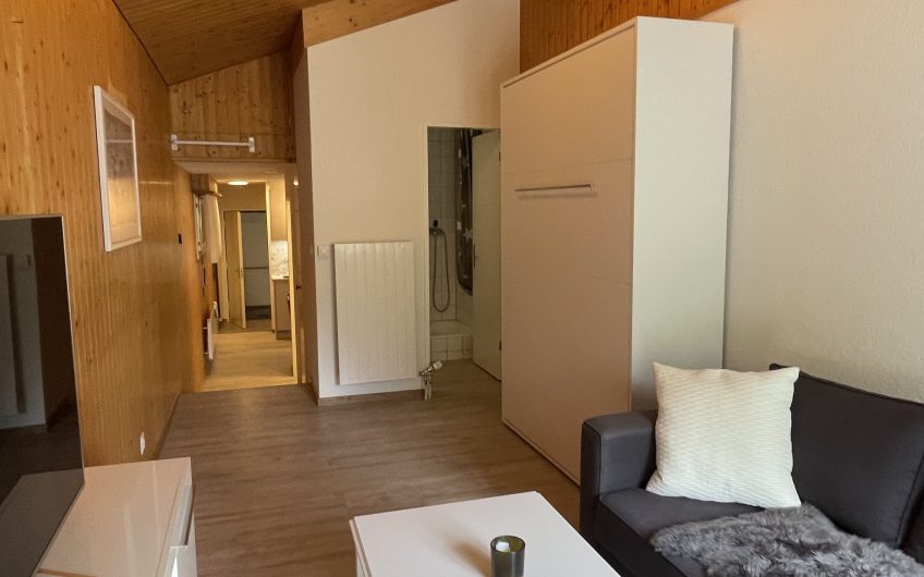 Studio Am Saumweg mit Privatparkplatz in Felskaverne. Reserviert.