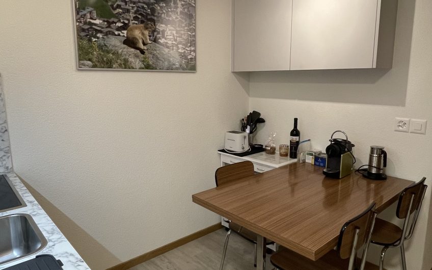 Studio Am Saumweg mit Privatparkplatz in Felskaverne. Reserviert.