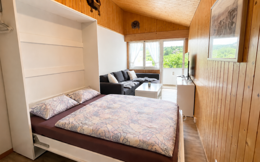 Studio Am Saumweg mit Privatparkplatz in Felskaverne. Reserviert.